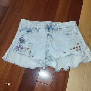 Embroidered Shorts